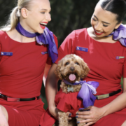 Virgin Australia Pets